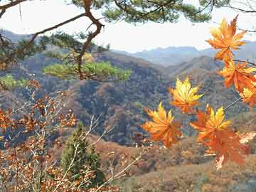 延安圣地河谷文化旅游区(延安圣地河谷文化旅游区地址)